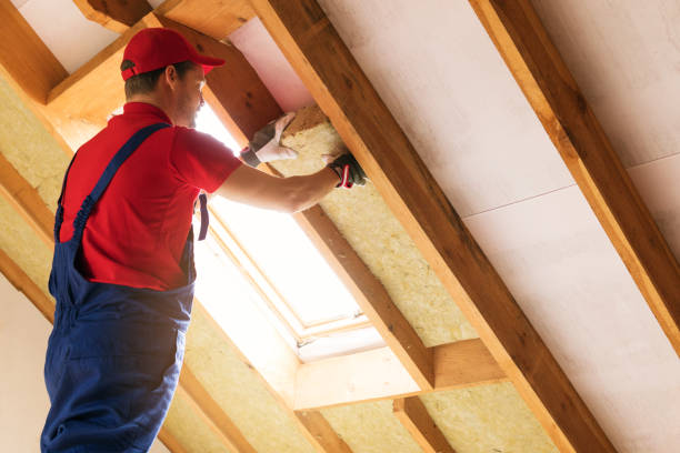 Best Insulation Removal  in Fairburn, GA